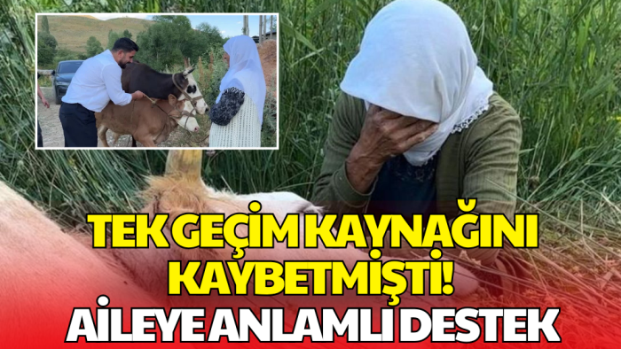 Tek Geçim Kaynağını Kaybetmişti! 2 İnek ve 2 Buzağı Hediye Edildi